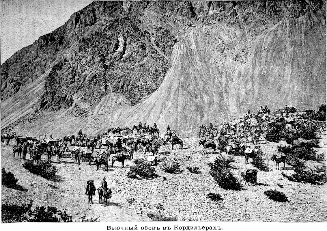 429 Вьючный обоз в Кордильерах